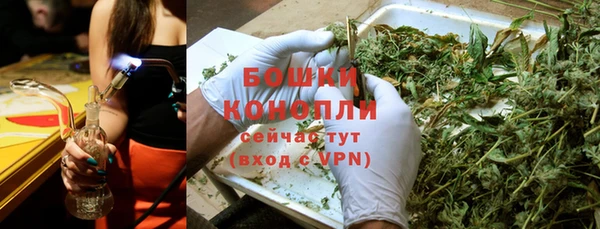 винт Майский