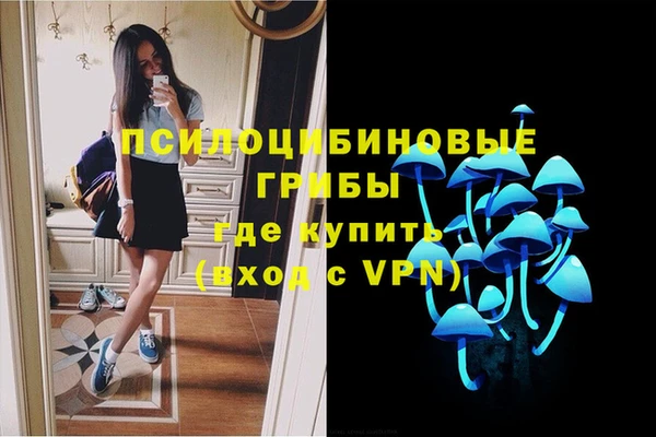 винт Майский
