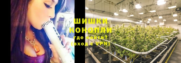 шишки Медвежьегорск